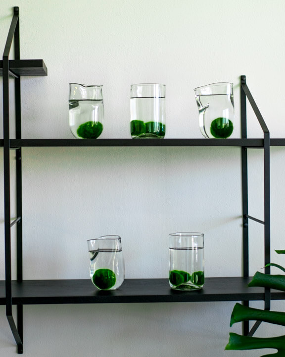 Marimo set – upcycled glass 2