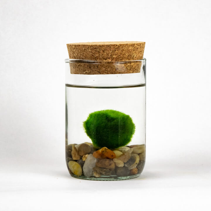 Set – upcycled jar with lid and stones